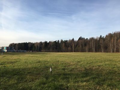 photo 63bddd174743e_thumb.jpg