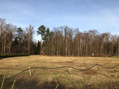 photo 63bddd178c6b4_thumb.jpg