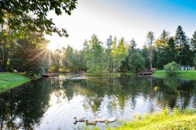 photo 63bddd29ca15f_thumb.jpg