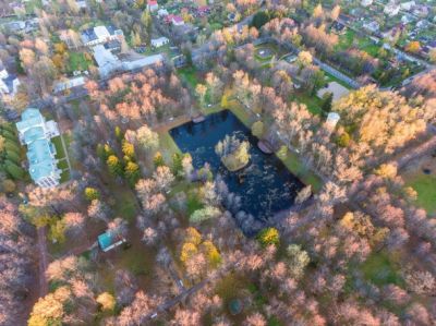 photo 63bddd2a4dd96_thumb.jpg