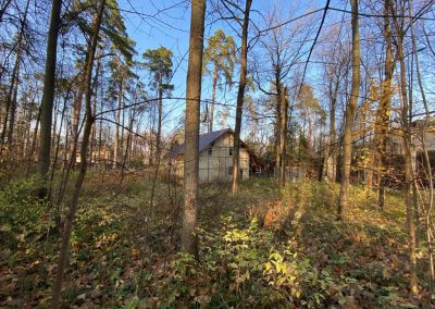 photo 63bddd5258cc1_thumb.jpg