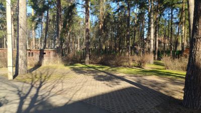 photo 63bddd96e81ab_thumb.jpg