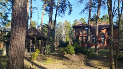 photo 63bddd974c271_thumb.jpg