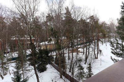 photo 63bdde98969e4_thumb.jpg