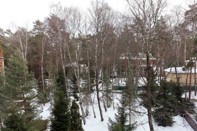 photo 63bdde9cd9e6d_thumb.jpg