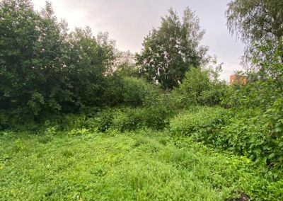 photo 63bddec2ed896_thumb.jpg