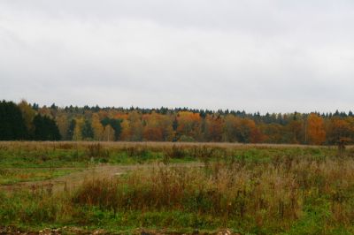 photo 63bddf38074bb_thumb.jpg