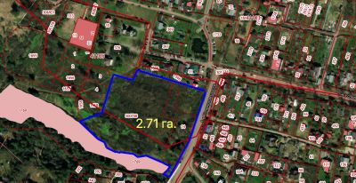 photo 63bddf38e5e5d_thumb.jpg