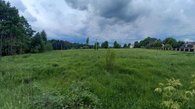 photo 63bddf3abe39c_thumb.jpg