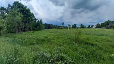 photo 63bddf3b7353f_thumb.jpg