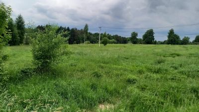 photo 63bddf3c2dfd8_thumb.jpg