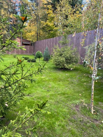 photo 65fc1508b0509_thumb.jpg