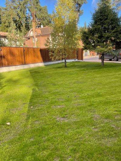 photo 65fc1509a19d8_thumb.jpg