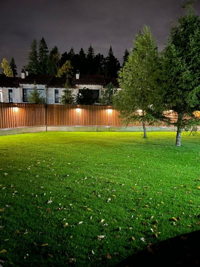 photo 65fc150e9a8e0_thumb.jpg