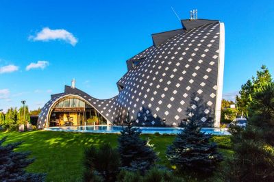 photo 63bddfe06862b_thumb.jpg