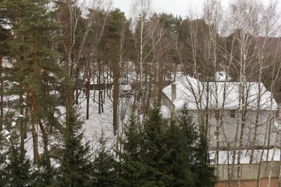 photo 63bde0778f22a_thumb.jpg