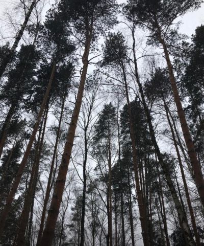 photo 63bde1e51b8e7_thumb.jpg