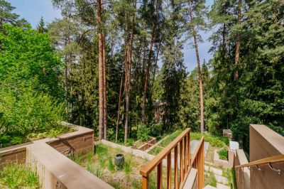 photo 683d54a1e11c0_thumb.jpg