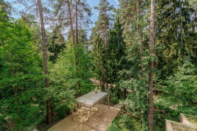 photo 683d54b873222_thumb.jpg