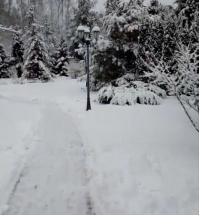 photo 63bde42d646d7_thumb.jpg