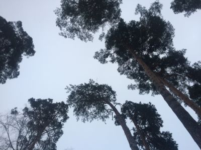 photo 63bde42e66117_thumb.jpg