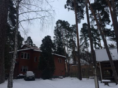 photo 63bde4304f06a_thumb.jpg