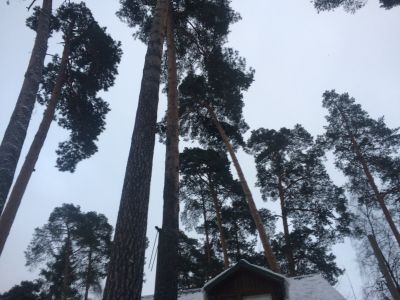 photo 63bde432335a5_thumb.jpg