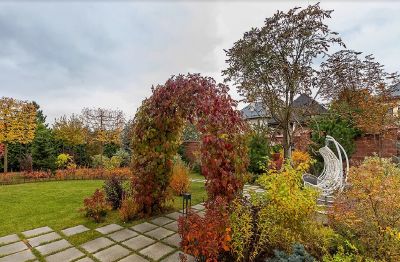 photo 63bde5360aba3_thumb.jpg