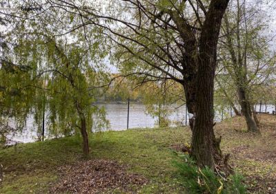 photo 63bde54c50045_thumb.jpg