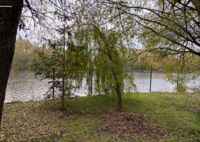 photo 63bde54d34536_thumb.jpg