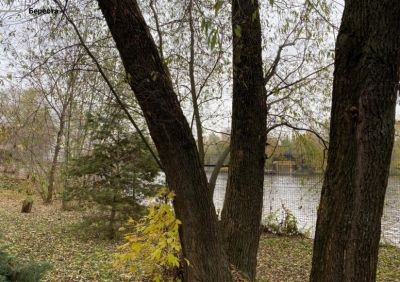 photo 63bde54d90879_thumb.jpg