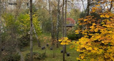 photo 63bde54e3f6d6_thumb.jpg