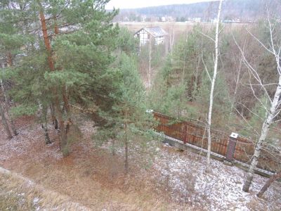 photo 63bde67177547_thumb.jpg