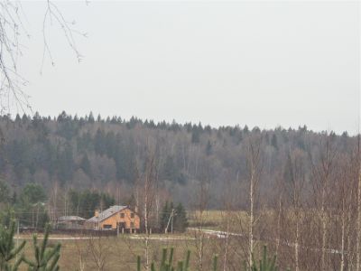 photo 63bde6750ece2_thumb.jpg