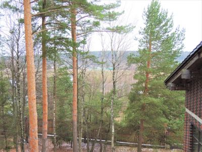 photo 63bde67d2fe2c_thumb.jpg