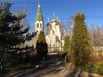 photo 63bde8545a1db_thumb.jpg