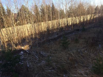 photo 63bde855253dd_thumb.jpg