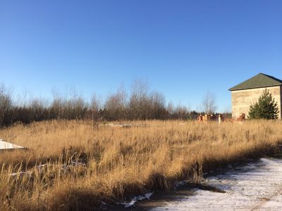 photo 63bde85e49ae9_thumb.jpg