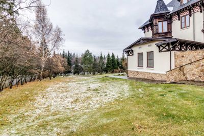 photo 63bde98023a0d_thumb.jpg