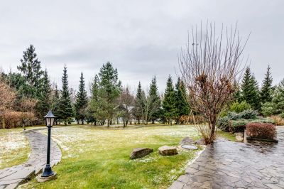 photo 63bde98c853a4_thumb.jpg