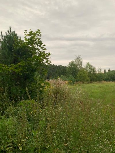 photo 63bdea92ee3ad_thumb.jpg