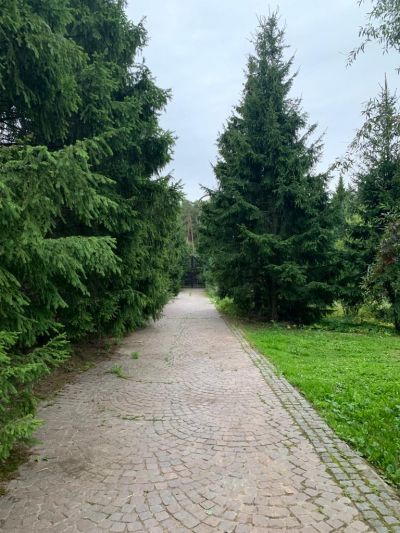 photo 63bdea93eac67_thumb.jpg