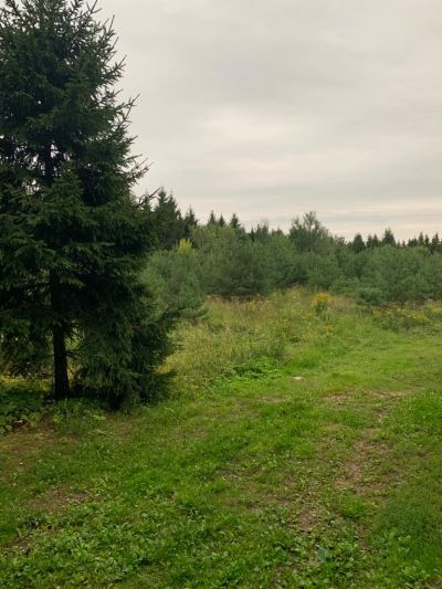 photo 63bdea967473b_thumb.jpg