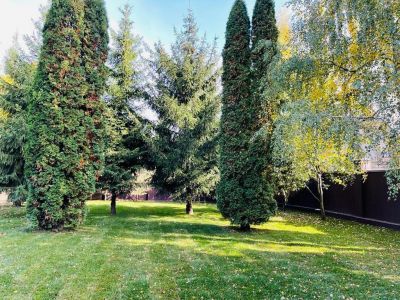 photo 63bdebd5e8bbd_thumb.jpg