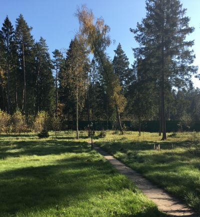 photo 63bdebe326cfc_thumb.jpg