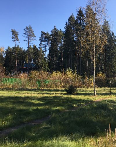 photo 63bdebe4c40d7_thumb.jpg