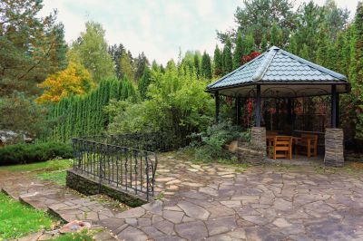 photo 63bdeccabeb4d_thumb.jpg