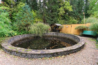 photo 63bdecd7b2508_thumb.jpg