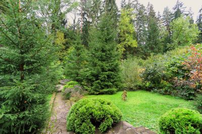 photo 63bdecdc2686b_thumb.jpg