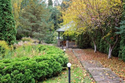 photo 63bdece95329a_thumb.jpg